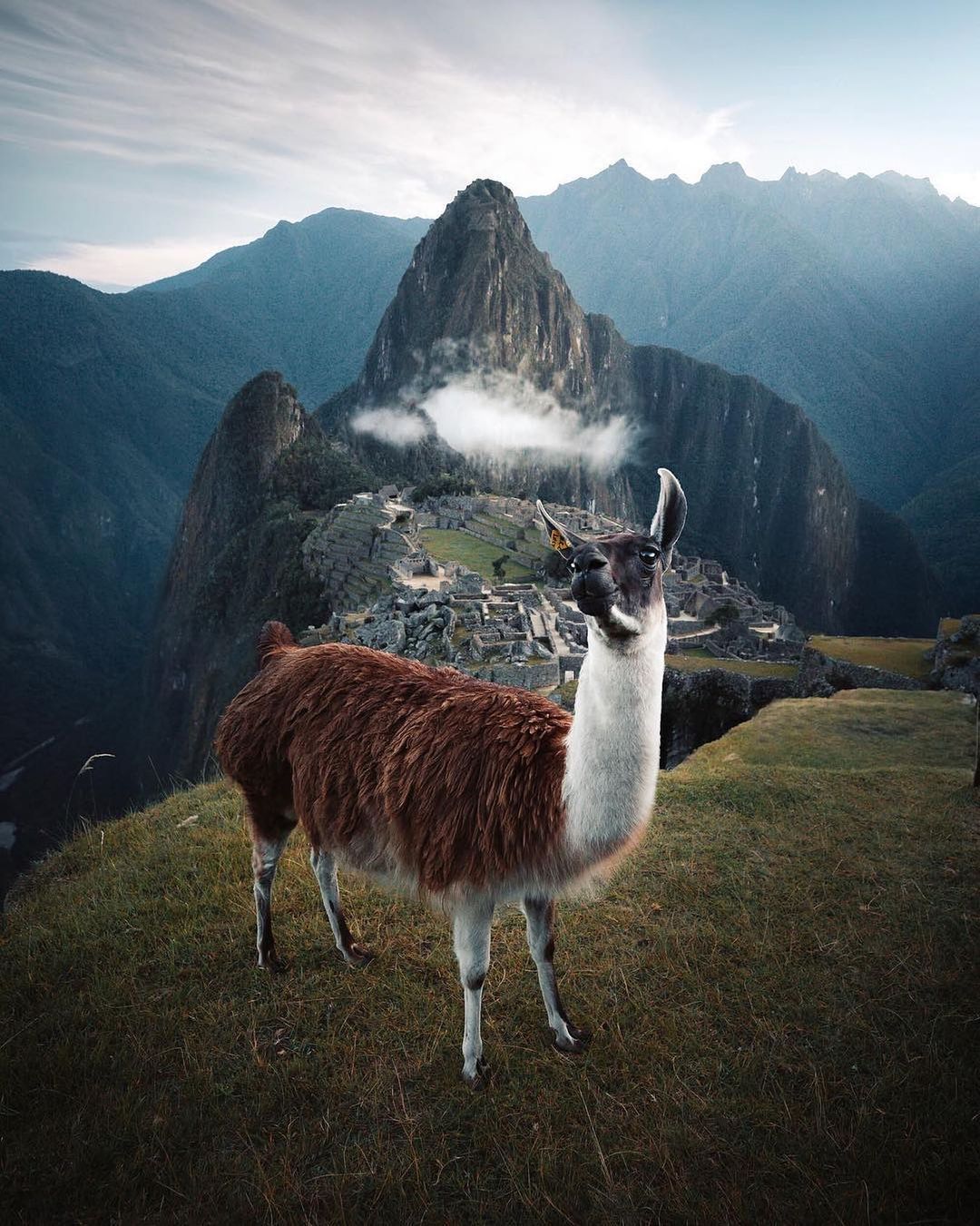 Yarmacı Kuyumculuk Fotoğraf 3