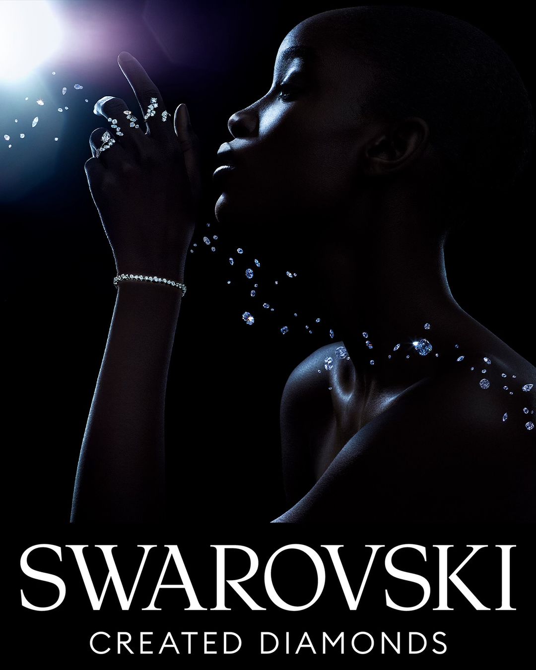 Swarovski Fotoğraf 2