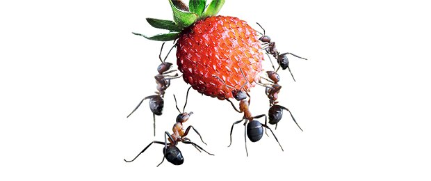 Kuyumcu Kadir Fotoğraf 1