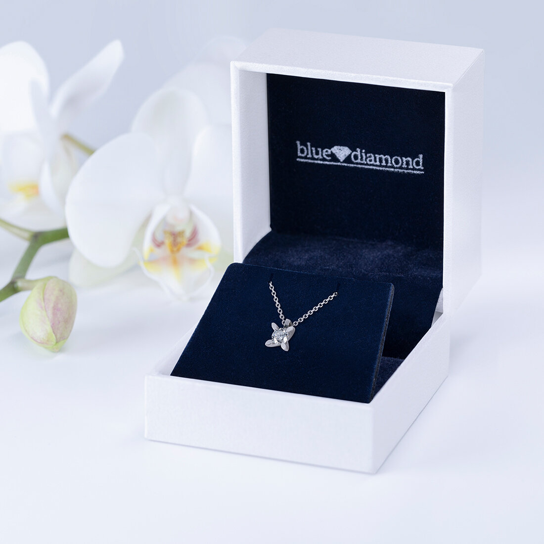 Blue Diamond Fotoğraf 2