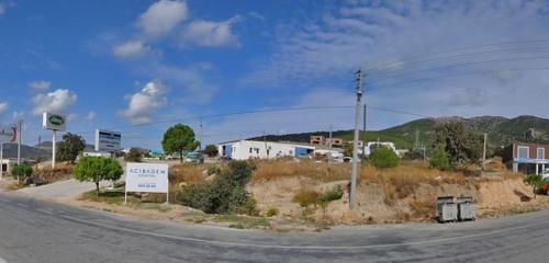 Kedi Gümüş Fotoğraf 1