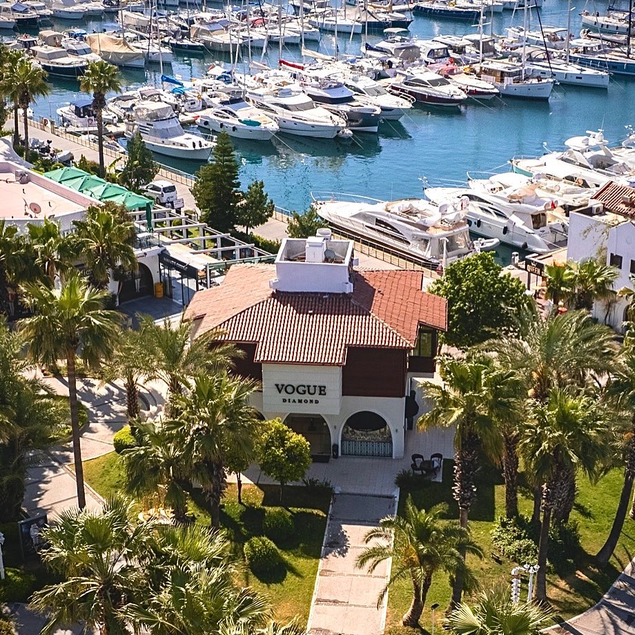 Vogue Diamond Fotoğraf 2